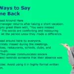 Other Ways to Say Welcome Back
