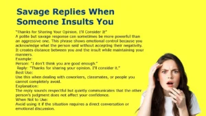 untamed Replies When Someone Insults You